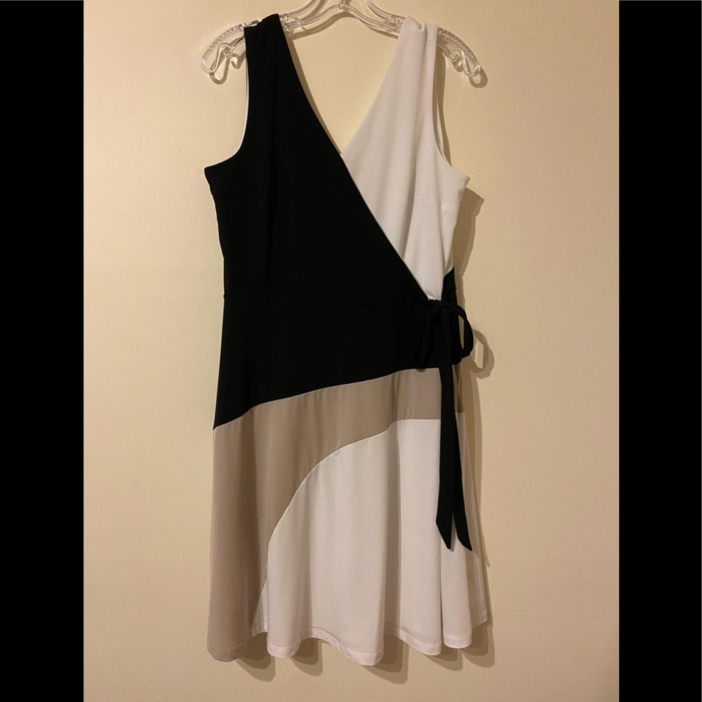 Dressbarn Dress (14)